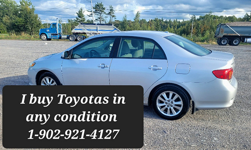 Toyotas In Any Shape...