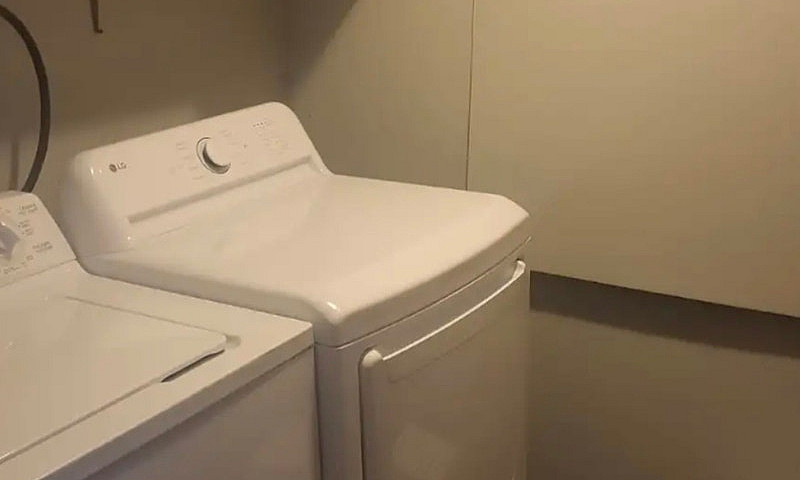 Walkout Basement In ...
