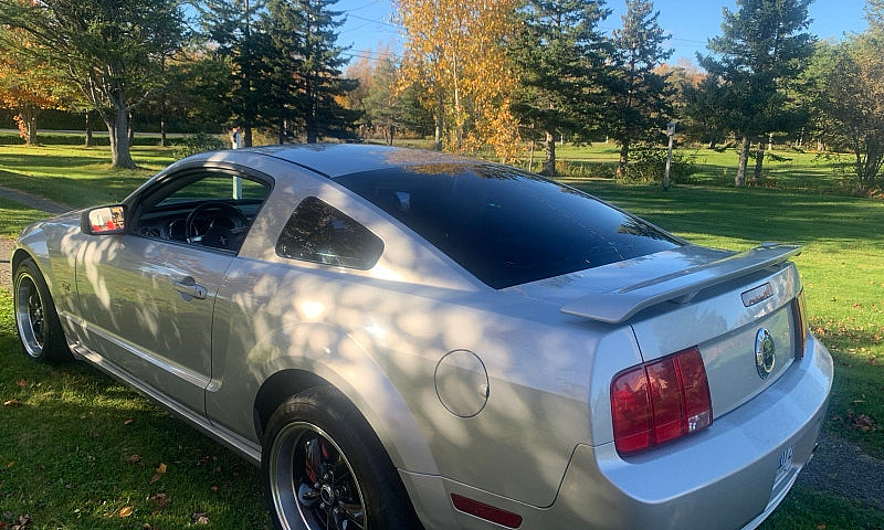 2005 Mustang Gt...