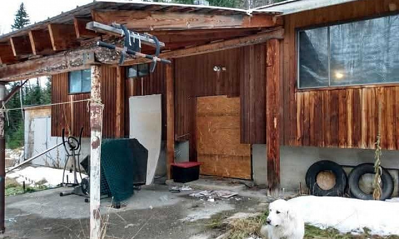 House And 2Acres Und...