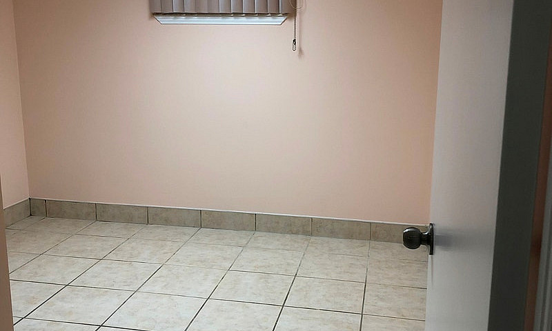 1 Bedroom Basement F...