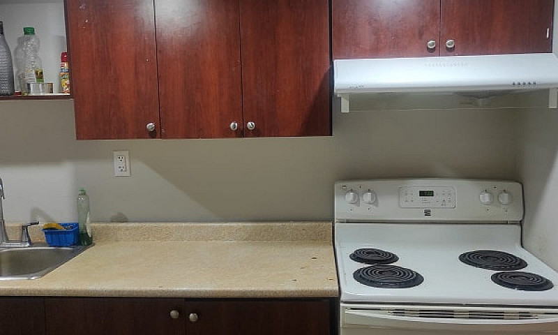 Basement For Rent Fr...