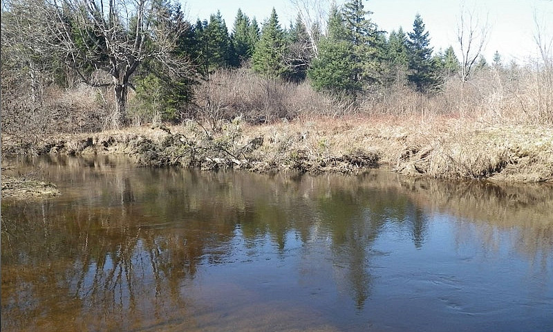 Riverfront Land For ...