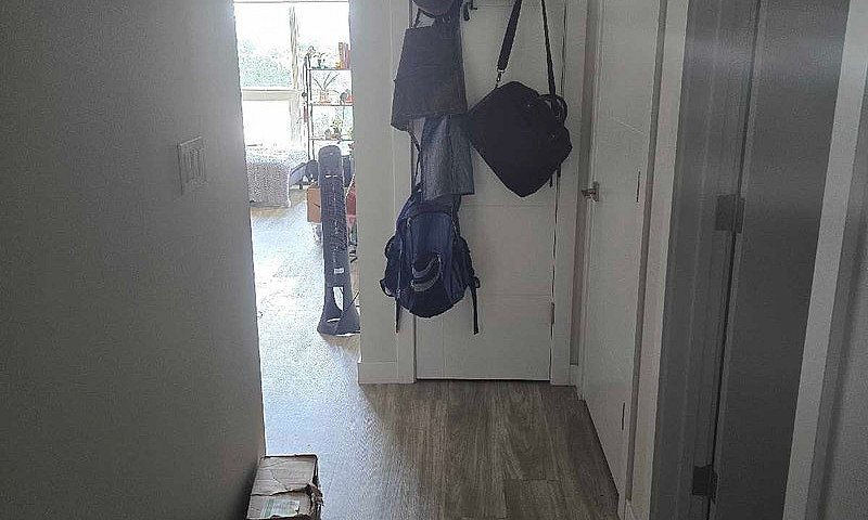 1 Bedroom Apartment ...