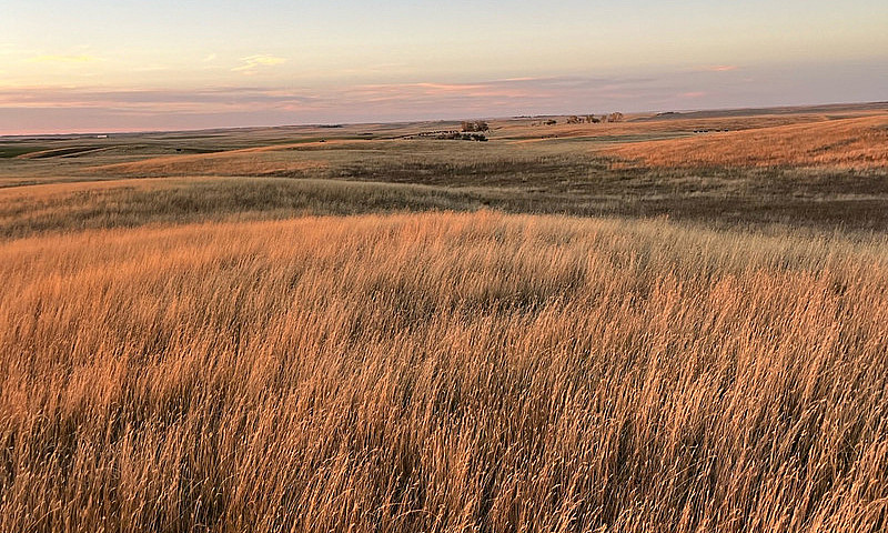 Farm & Pasture Land ...