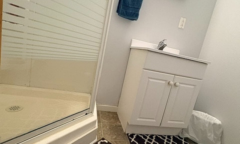 Bachelor Basement Su...