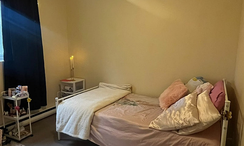 Female Roommate Need...