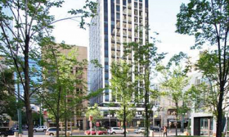 Cambridge Lofts  1 B...