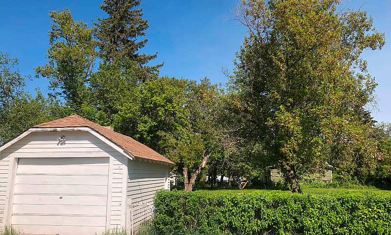 Beautiful Double Lot...