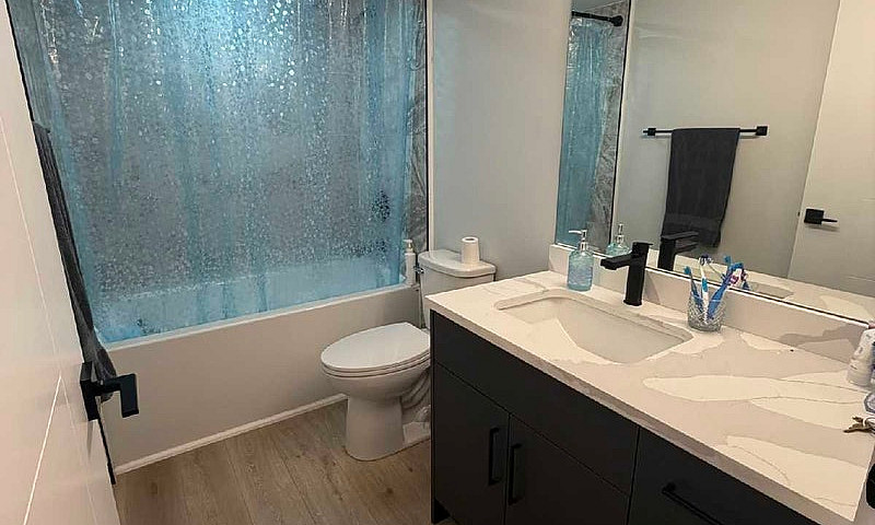2 Bedroom Basement F...