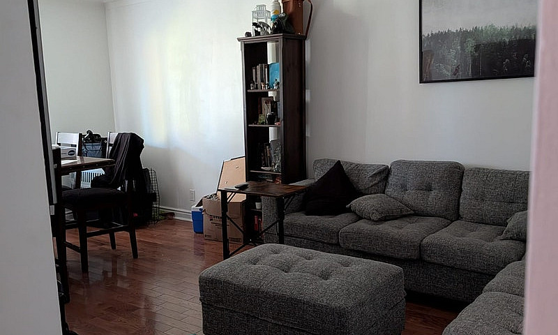 3 Bedroom 1 Bath Nee...