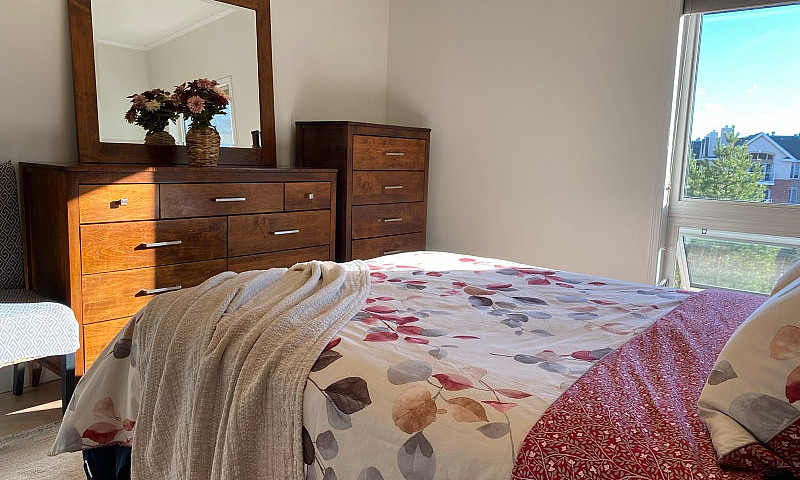 Executive 2-Bed Furn...