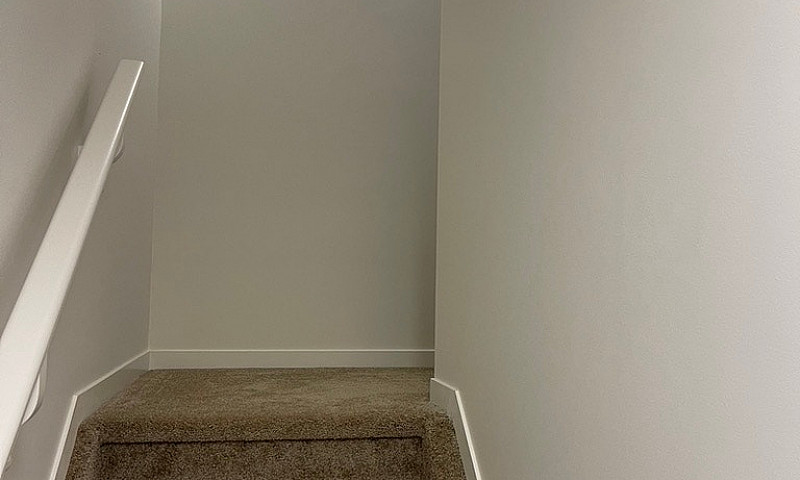 Rental In Spruce Gro...