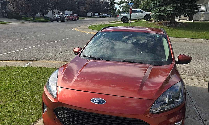 2020 Ford Escape Sel...