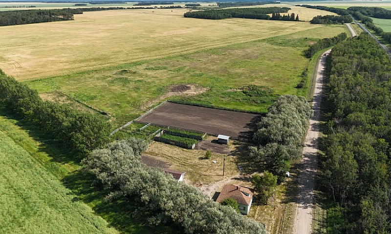 Acreage Close To Tis...