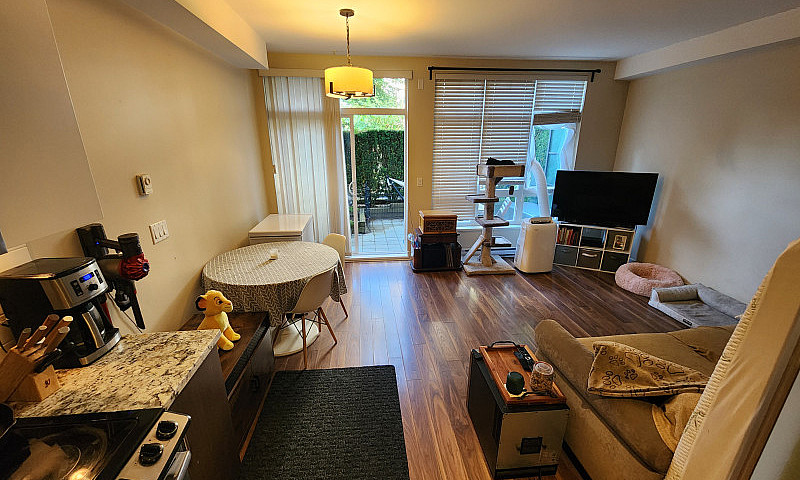 Cozy, New, Clean And...