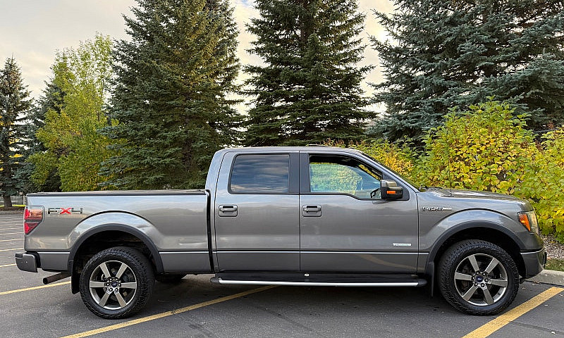 2011 Ford F150 Fx4 C...