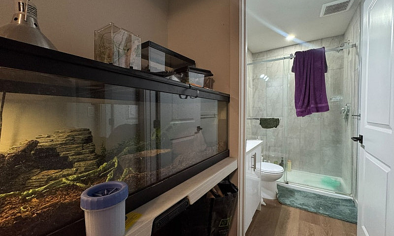 Newly Built Legal On...