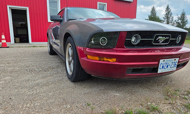 2006 Mustang Coupe...