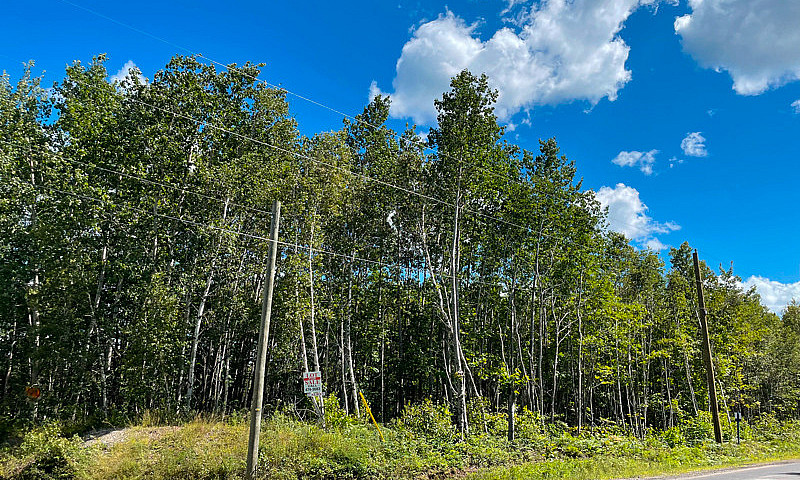 2 Acre Lots In Rusag...