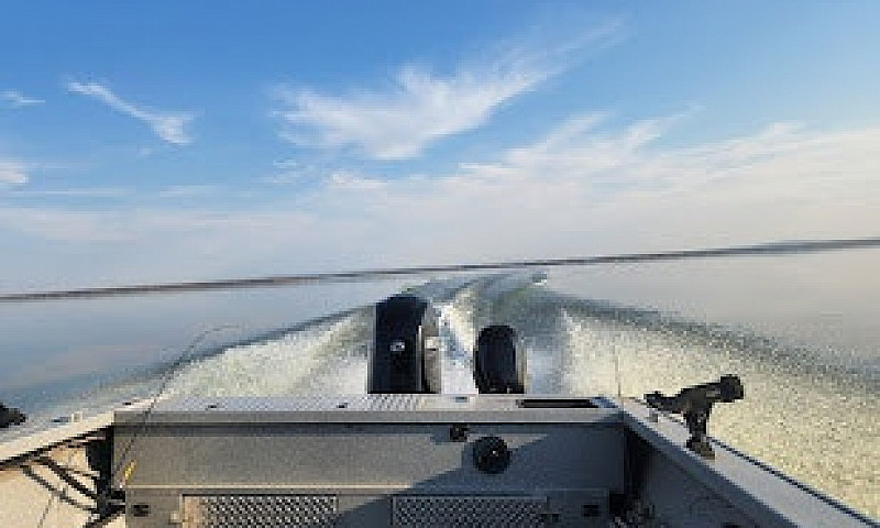 Slave Lake Spruce Po...