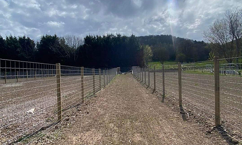 Custom Cattle, Acrea...