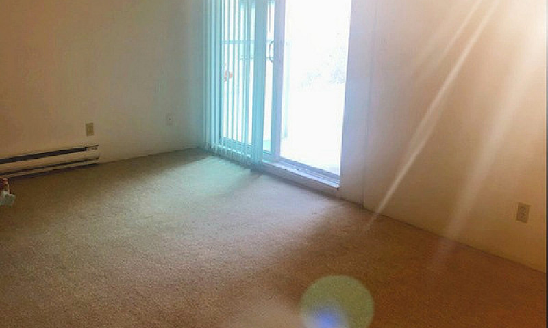 $1900 - 1 Bedroom Ap...