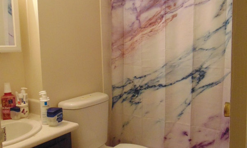 1 Bedroom Apartment ...