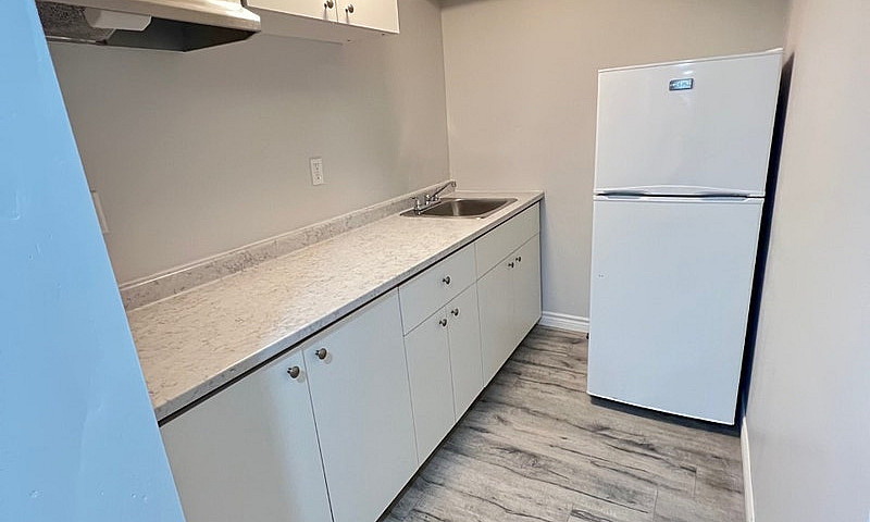 1 Bedroom Basement F...