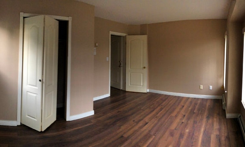 Main Floor 1 Bedroom...