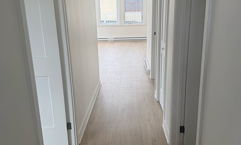 Logement 4-1/2 À Lou...