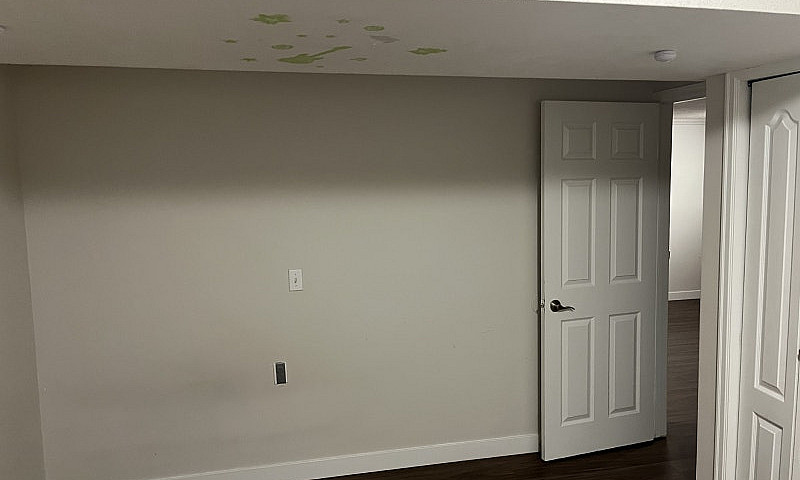 2 Bedroom Basement I...