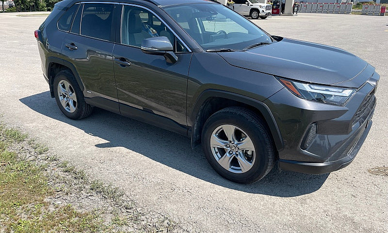 2025 Toyota Rav4 Xle...