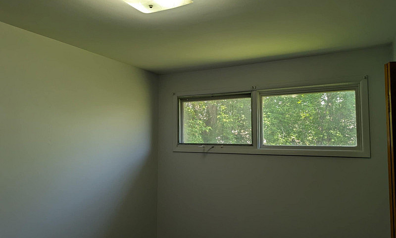3+ Bedroom, 1 Bath H...