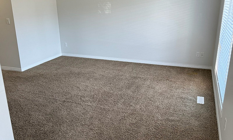 Entire Main Floor Fo...
