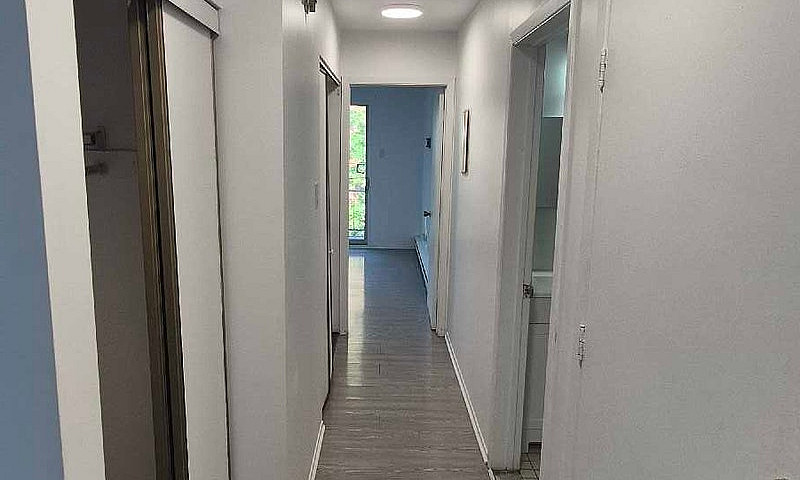 Bright Renovated 1Br...