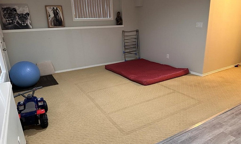 One Bedroom Basement...