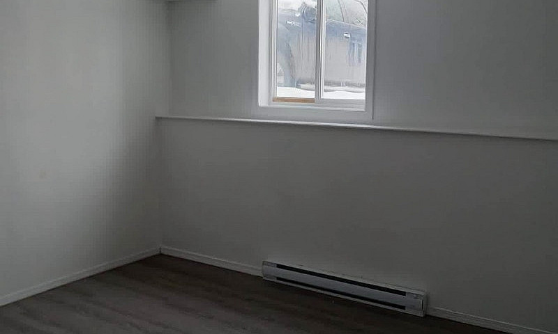 1 Bedroom Apartment ...