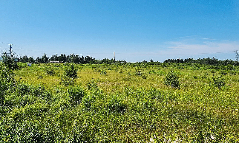 Cleared Lot For Sale...