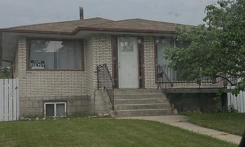Seeking A House For ...