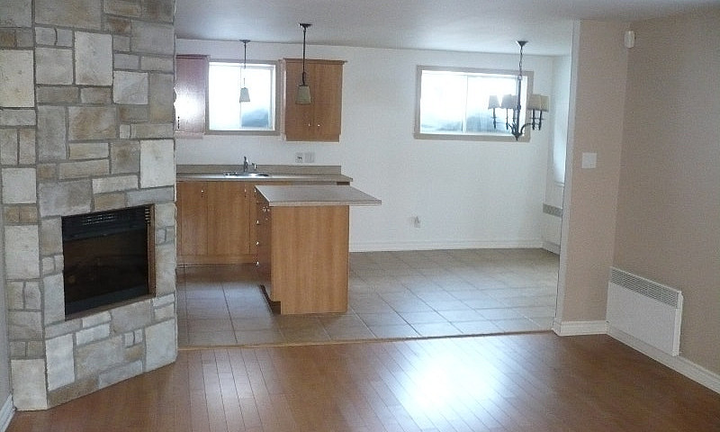 Logement 3 1/2 À Lou...