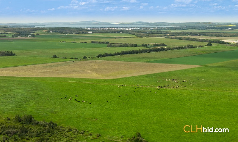160 Acres Farm Land ...