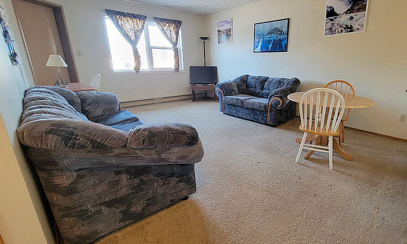 Furnished One Bedroo...