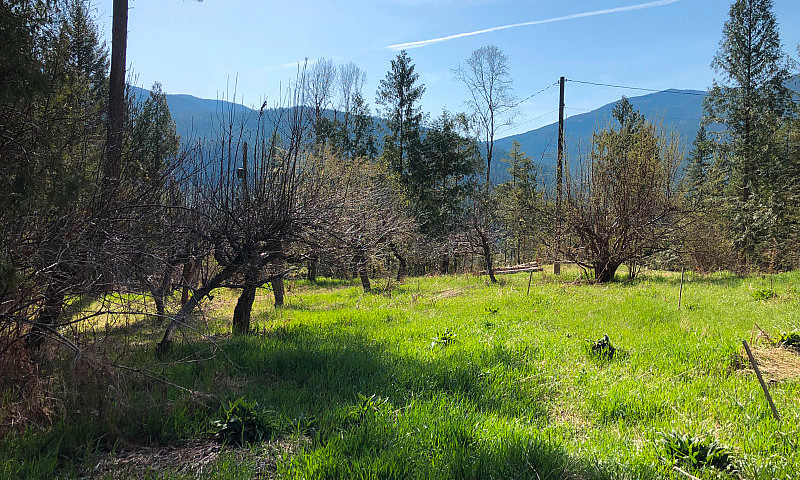 Secluded Acreage Wit...