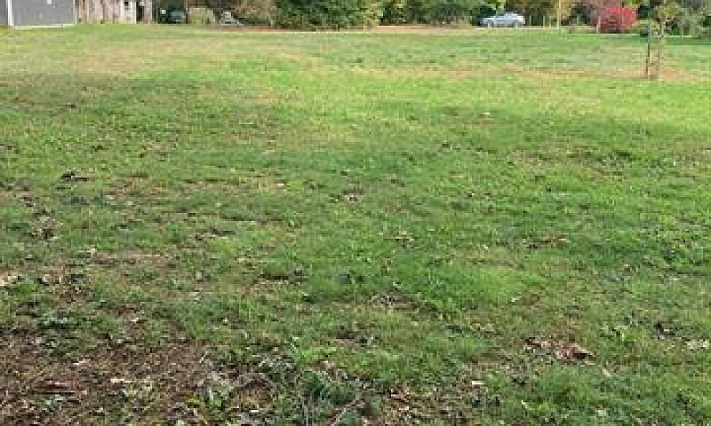 Level Lot In Nictaux...