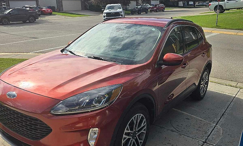 2020 Ford Escape Sel...