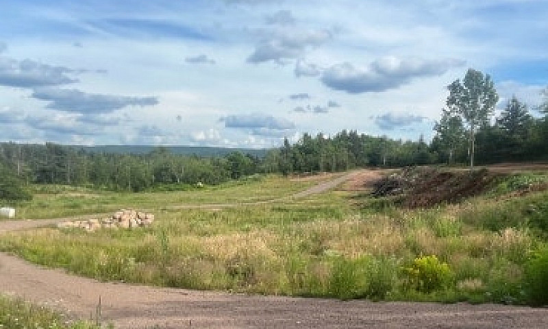 10.5 Acres...