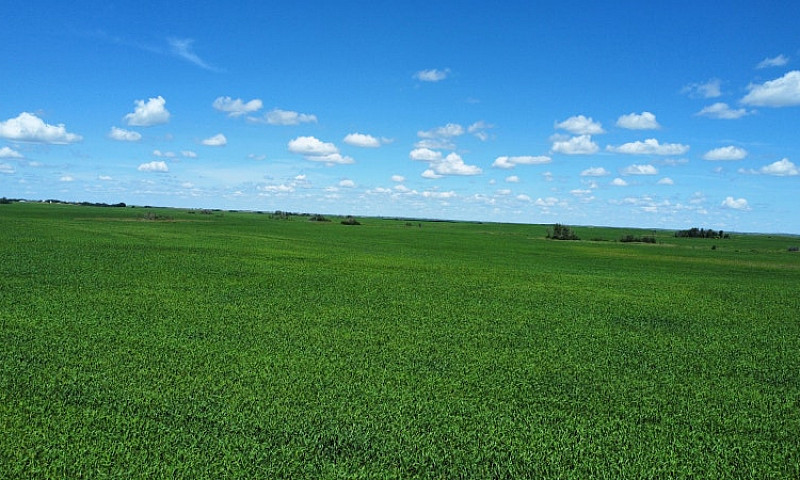 6,133 Acres For Sale...