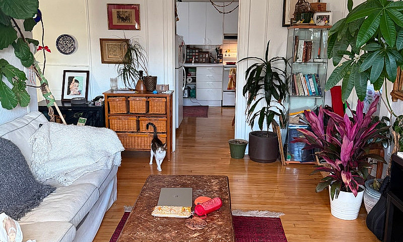 Appartement 3 Chambr...