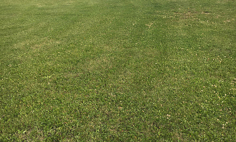 Lake Lot For Sale On...